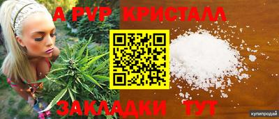 mdpv Гусев